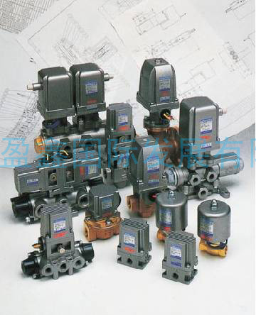 盈鑫国际发展有限公司