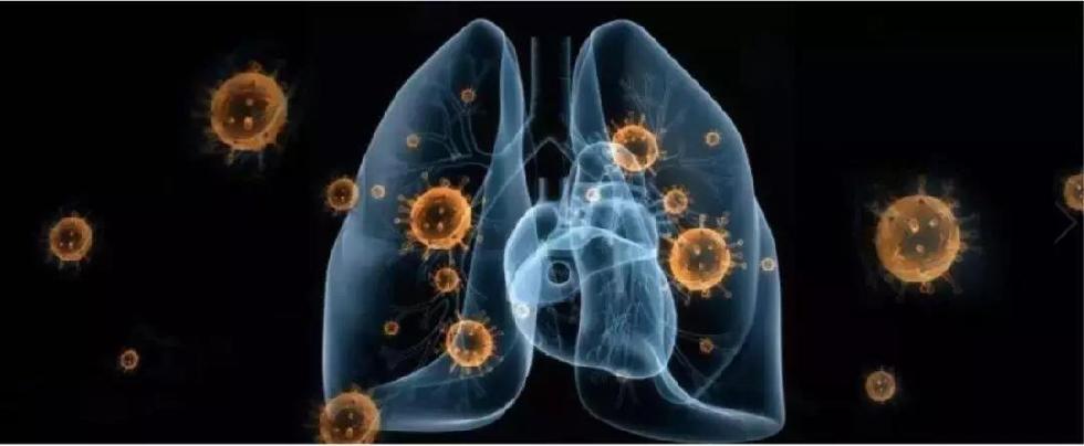 抗击疫情，人工智能出战!